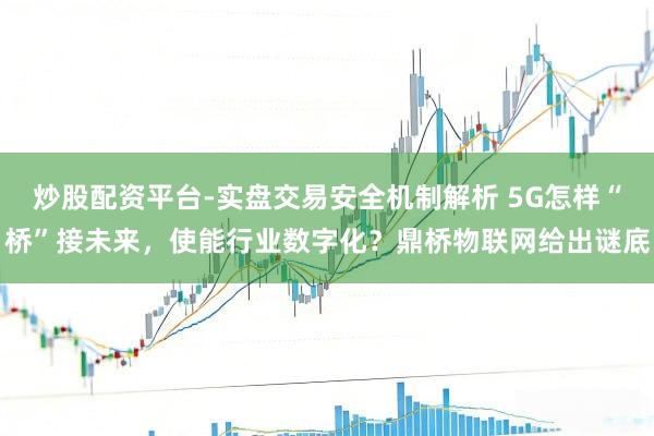 炒股配资平台-实盘交易安全机制解析 5G怎样“桥”接未来，使能行业数字化？鼎桥物联网给出谜底