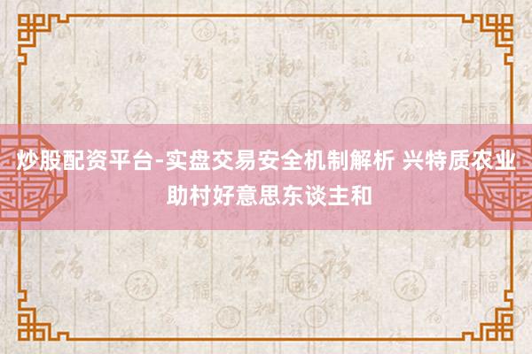 炒股配资平台-实盘交易安全机制解析 兴特质农业 助村好意思东谈主和