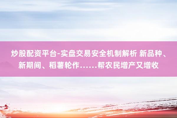 炒股配资平台-实盘交易安全机制解析 新品种、新期间、稻薯轮作……帮农民增产又增收