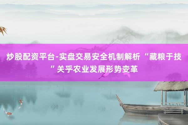 炒股配资平台-实盘交易安全机制解析 “藏粮于技”关乎农业发展形势变革